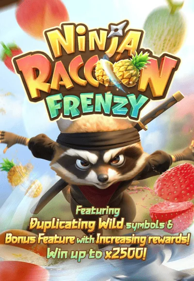 ninjaraccoon